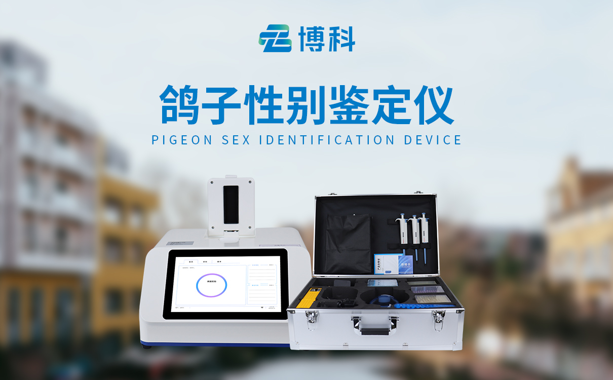 鸽子检测仪：高灵敏识别，微量样本检测，结果稳定可信