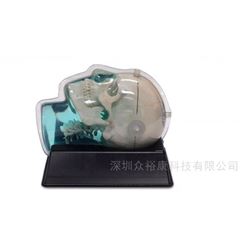 CIRS 603A頭部MRI模體