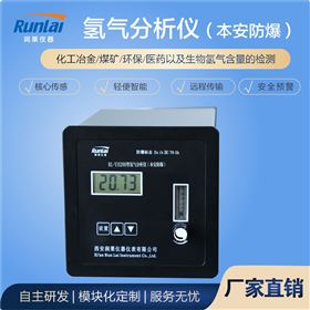 RL-YH200型氧中氫氫氣分析儀