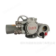 防爆型閥門(mén)電動(dòng)裝置DZB30-18