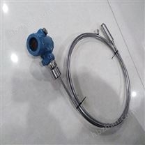 定制铠装投入式液位计