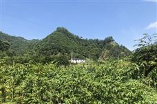 中國環(huán)境監(jiān)測總站國家環(huán)境空氣、地表水監(jiān)測網(wǎng)質(zhì)量管理體系通過ISO 9001認證