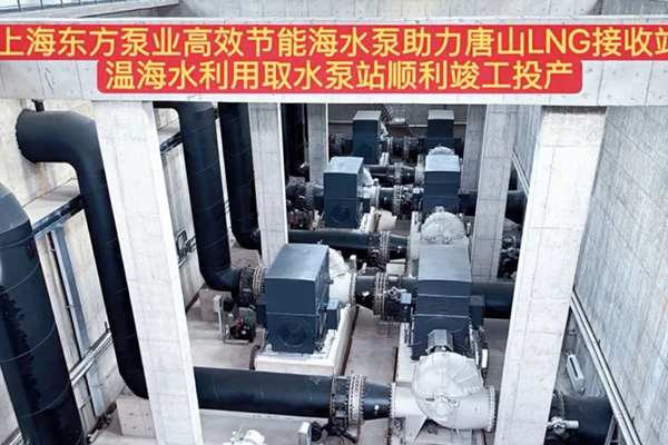 極致工藝淬煉頂尖品質，硬核實力領跑行業(yè)賽道——東方泵業(yè)海水泵應用于LNG液化天然氣工程項目