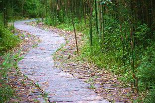 亳州市深入踐行“兩山”理念，繪就生態發展新畫卷