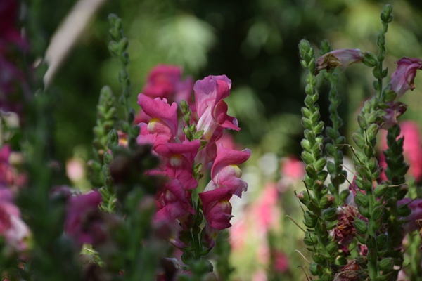 山東省“十五五”生態(tài)環(huán)境保護規(guī)劃意見建議公開征集！