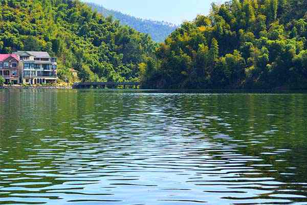 美麗水細(xì)胞單元建設(shè)｜錢江新城森林公園：從灘涂泥沼到都市綠洲