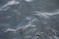 啟迪環(huán)境重整進(jìn)行時(shí) 城發(fā)環(huán)境:暫無意向參與