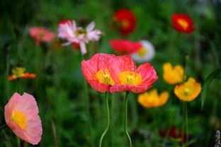 世界土壤日 | 守护城市生态根基，开启智慧土壤管理新时代