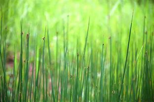 滁州市南谯区“三源共治”筑牢生态屏障