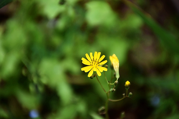 《河北省排污權(quán)租賃管理暫行辦法》解讀
