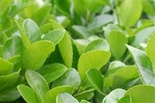 淮北市全鏈條打造垃圾分類綠色治理新典范