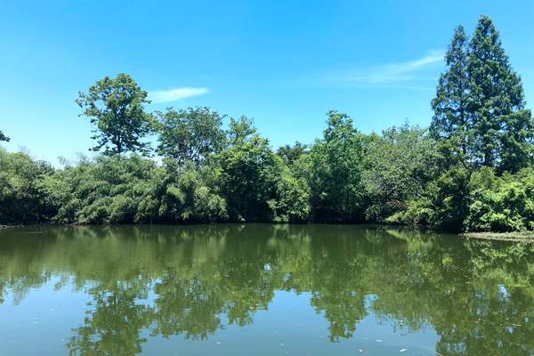 浙江水文監(jiān)測(cè)上新“黑科技”