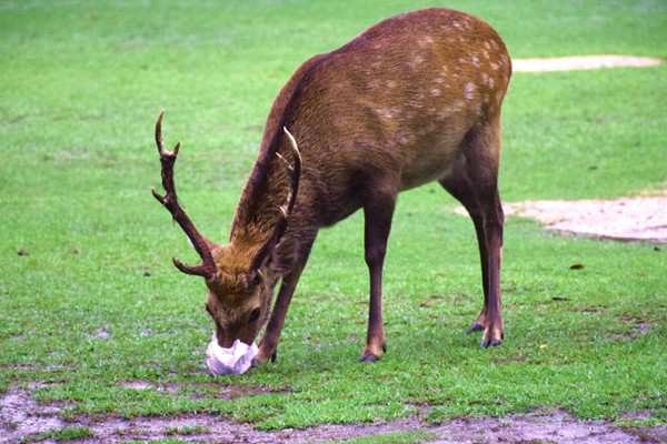 《寧夏回族自治區(qū)固定資產(chǎn)投資項(xiàng)目節(jié)能審查和碳排放評價實(shí)施辦法》印發(fā)