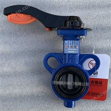 2507脫硫蝶閥TLD71X之產(chǎn)品優(yōu)點(diǎn)與安裝注意事項(xiàng)