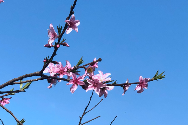 新國家生態(tài)環(huán)境標準發(fā)布，3月1日起實施！