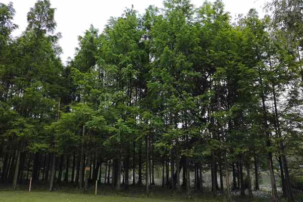 “十四五”財(cái)政資金累計(jì)投入1585億元 支持大氣污染治理項(xiàng)目1.2萬個(gè)