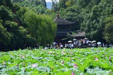 《浙江省美麗城市建設推進方案》印發(fā)