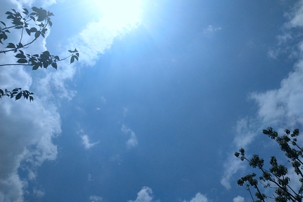 2585万！金泥公司水泥厂超低排放改造项目二次中标候选人公示