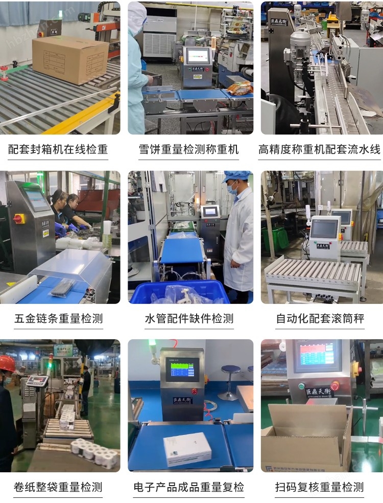 250612稱重機(jī)綜合詳情 (9).jpg