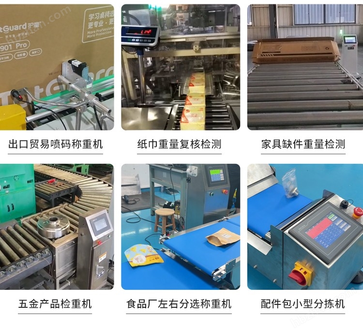 250612稱重機(jī)綜合詳情 (10).jpg