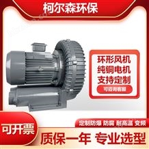 RB-022環(huán)形高壓鼓風(fēng)機(jī) 除塵吹水烘干高壓風(fēng)機(jī)