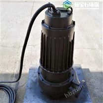重型鑄鐵潛水排污泵自耦式安裝廢水提升泵
