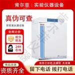 賽默飛CO2 Incubator 3131gp二氧化碳培養(yǎng)箱