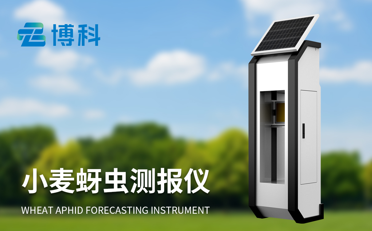 小麥蚜蟲監測儀器