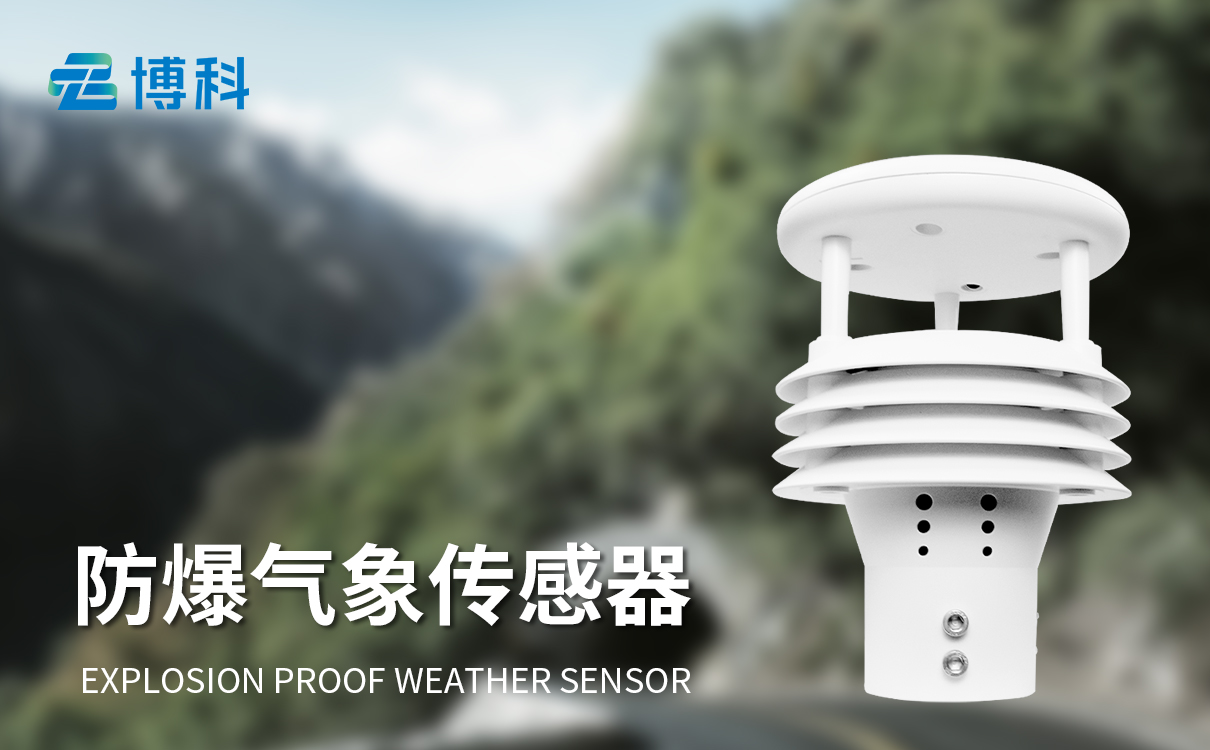 防爆气象传感器 防爆气象传感器