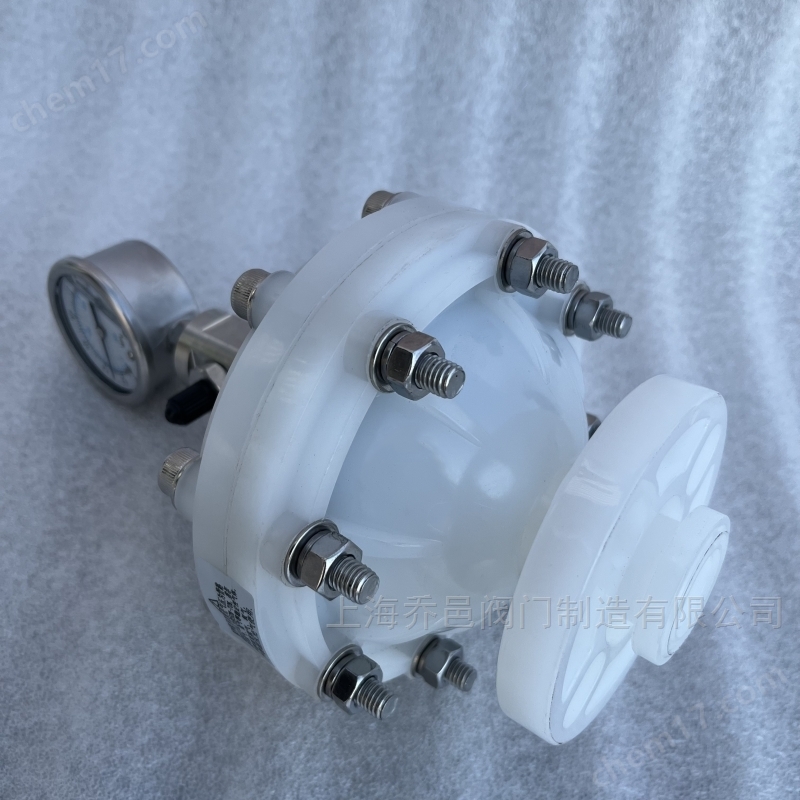 LGMZ-V0.35L膜片式脉冲阻尼器PVDF