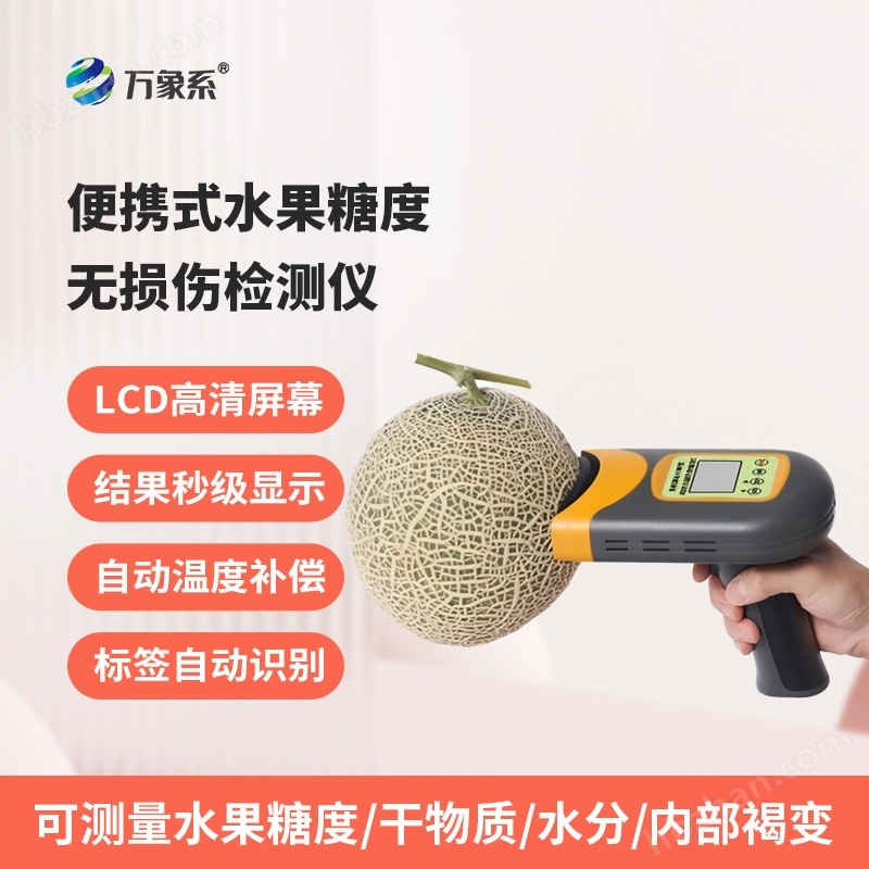 無損傷檢測(cè)儀
