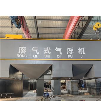 100立方/小时溶气气浮机